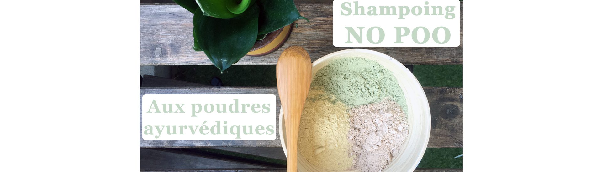 No poo poudres ayurvédiques
