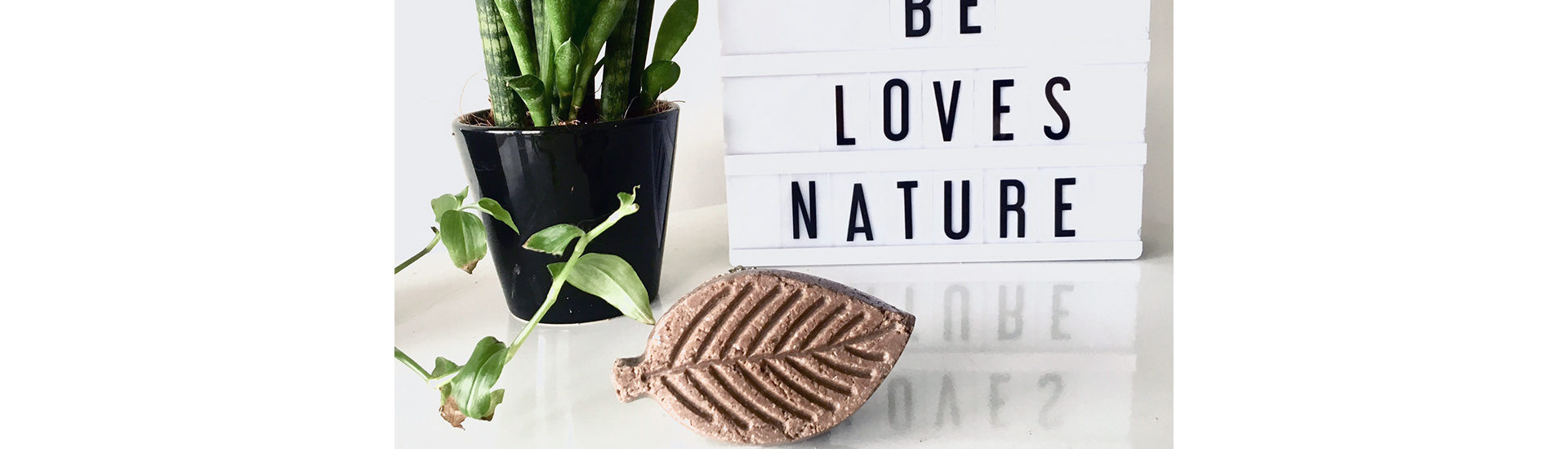 Shampoing solide cheveux gras bandeau